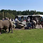 펜션 Luxuszelt Im Serengeti Park *
