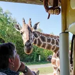 Luxuszelt Im Serengeti Park