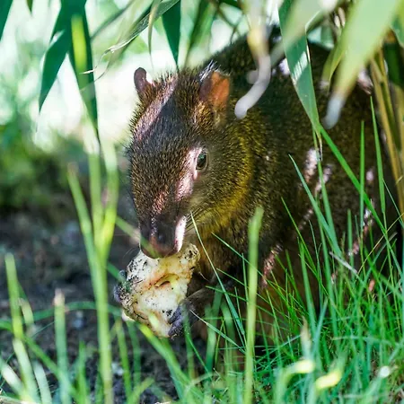 Luxuszelt Im Serengeti Park Дом отдыха