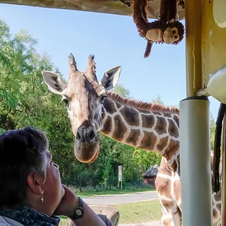 Luxuszelt Im Serengeti Park