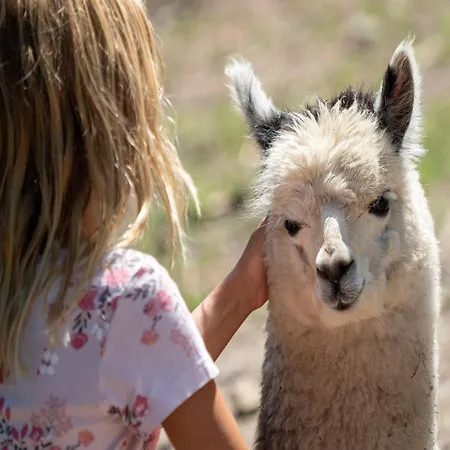 Prázdninový dům Luxuszelt Im Serengeti Park *