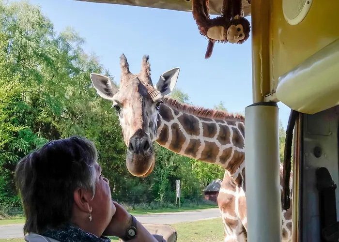 Luxuszelt Im Serengeti Park Casa de Férias *