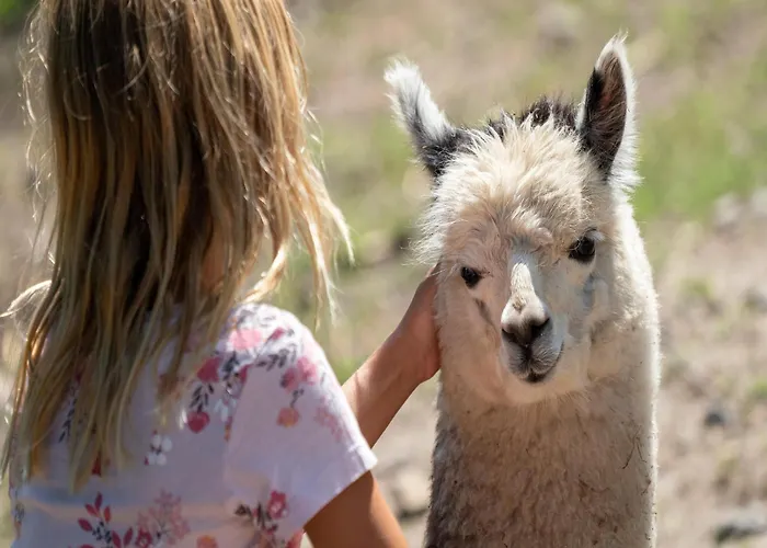 Feriehus Luxuszelt Im Serengeti Park *
